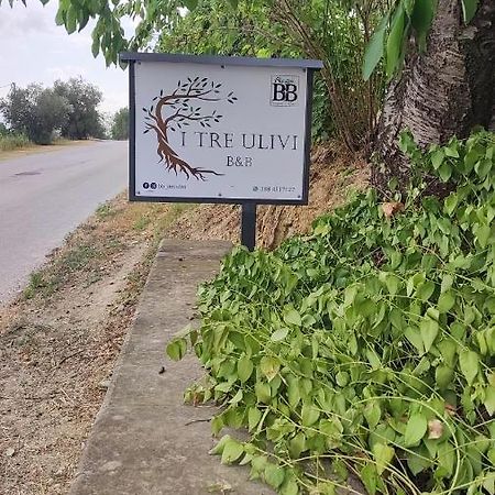 B&B I Tre Ulivi Morro dʼOro Εξωτερικό φωτογραφία