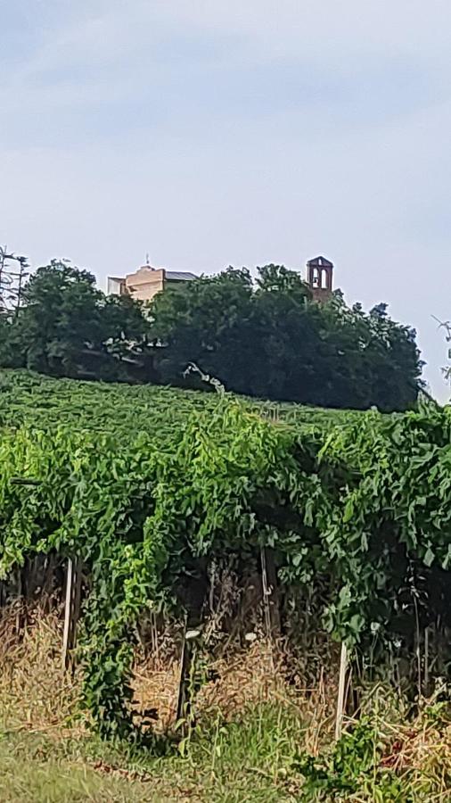 B&B I Tre Ulivi Morro dʼOro Εξωτερικό φωτογραφία