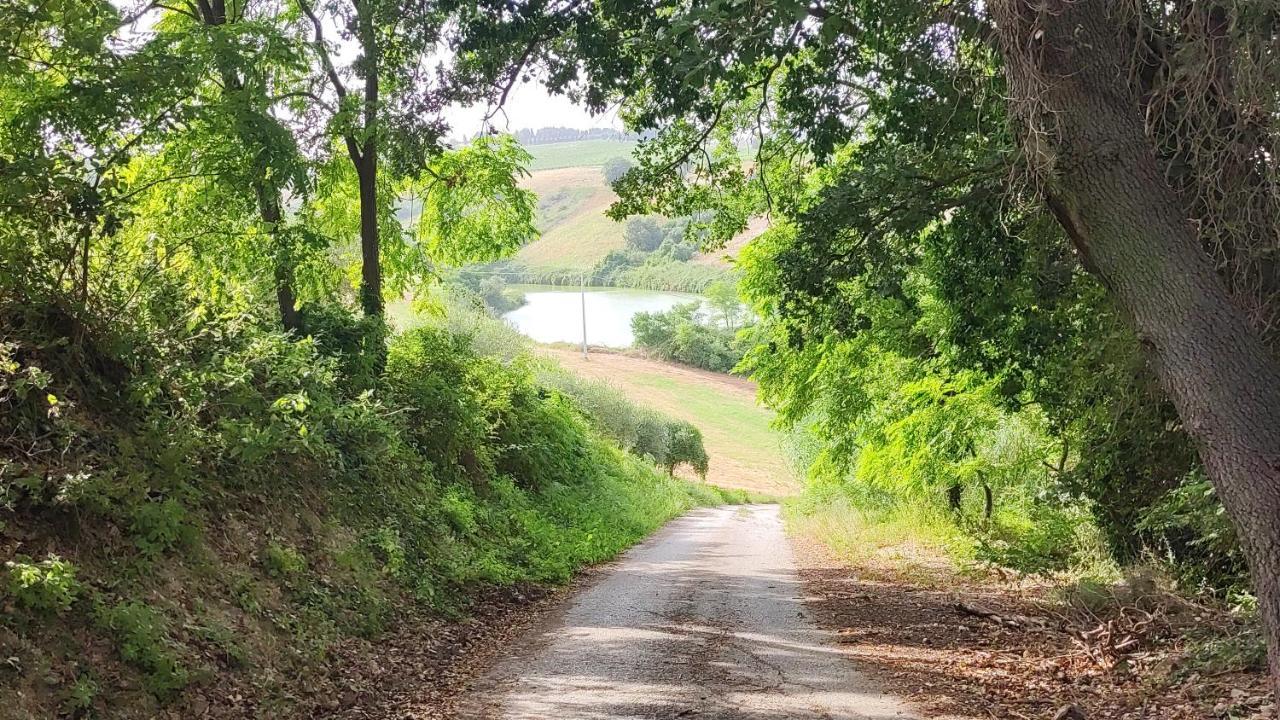 B&B I Tre Ulivi Morro dʼOro Εξωτερικό φωτογραφία