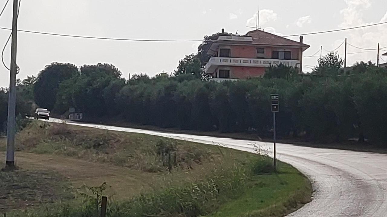B&B I Tre Ulivi Morro dʼOro Εξωτερικό φωτογραφία