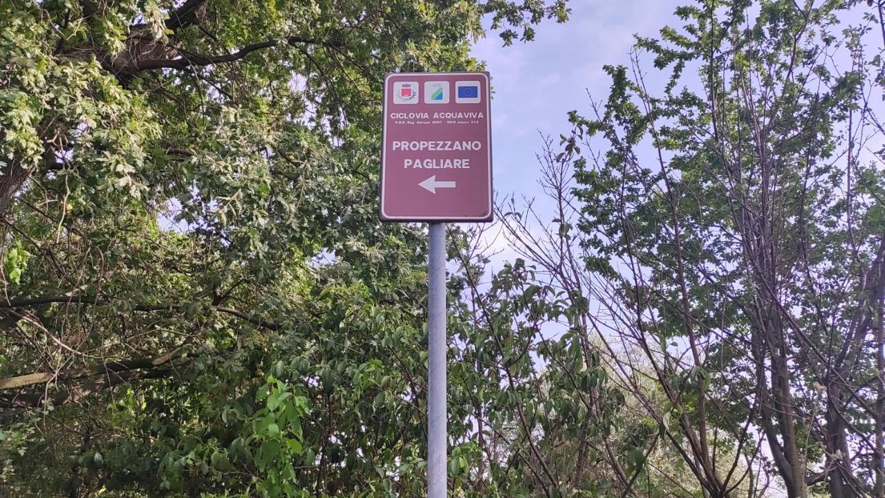 B&B I Tre Ulivi Morro dʼOro Εξωτερικό φωτογραφία
