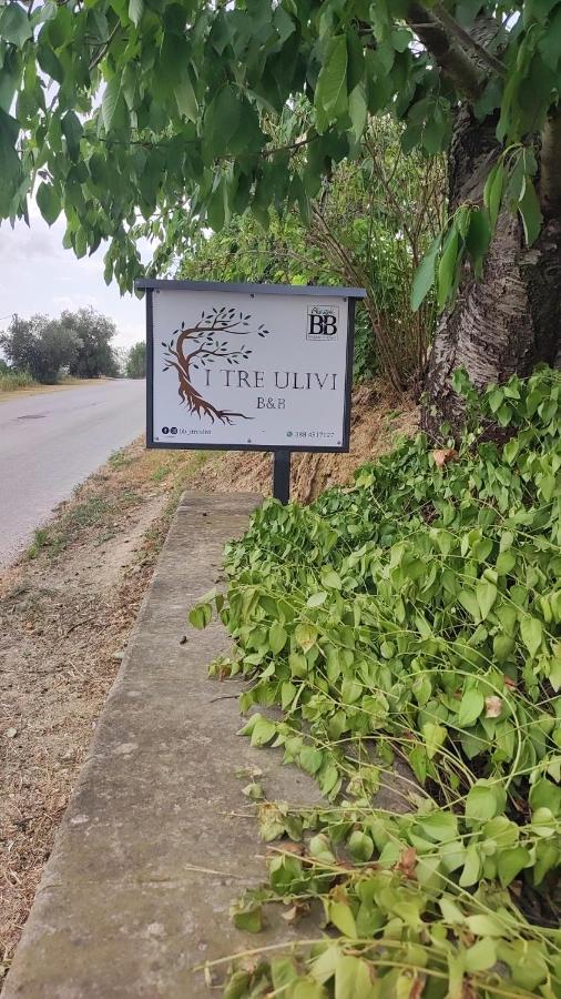 B&B I Tre Ulivi Morro dʼOro Εξωτερικό φωτογραφία