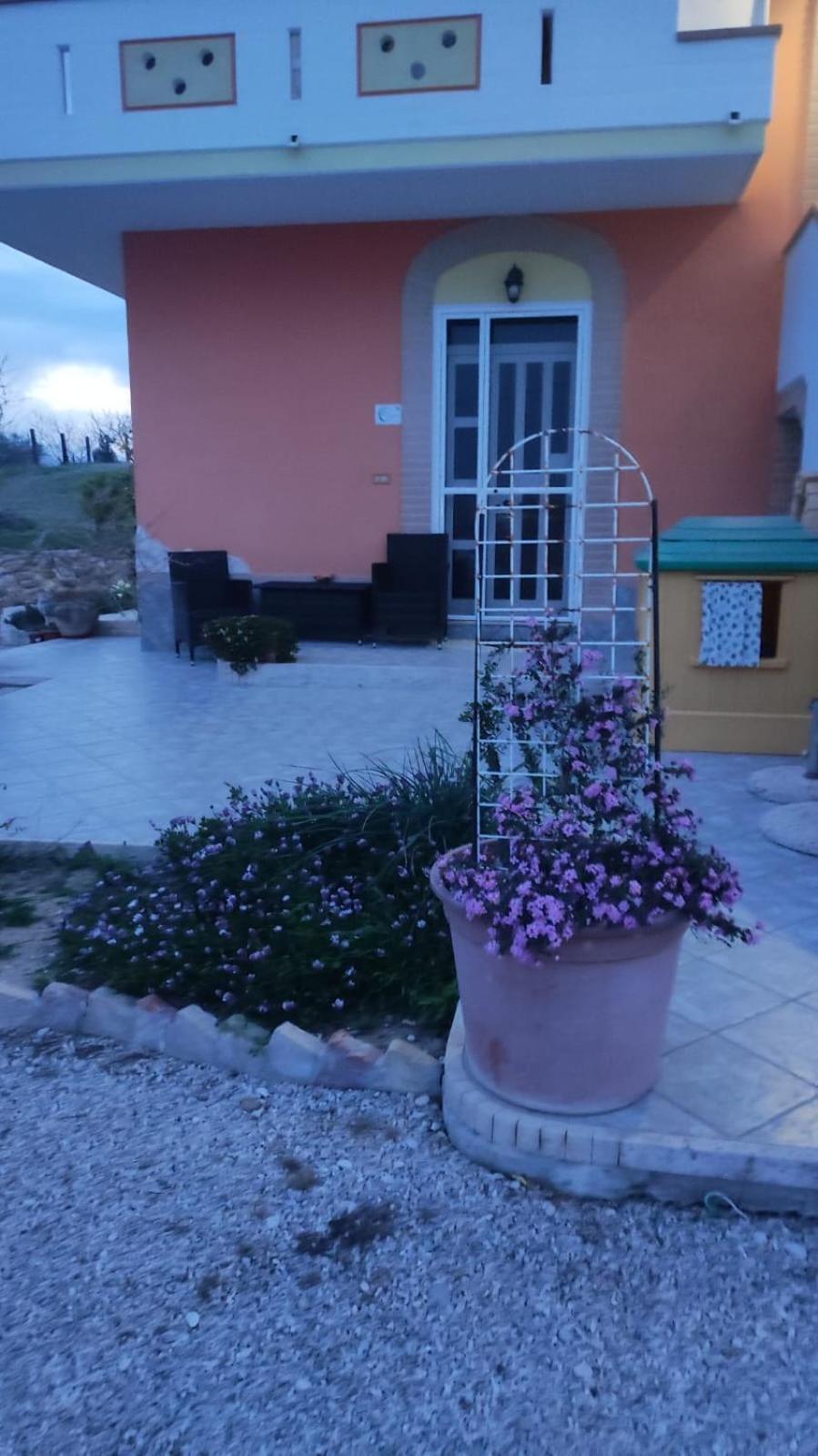 B&B I Tre Ulivi Morro dʼOro Εξωτερικό φωτογραφία
