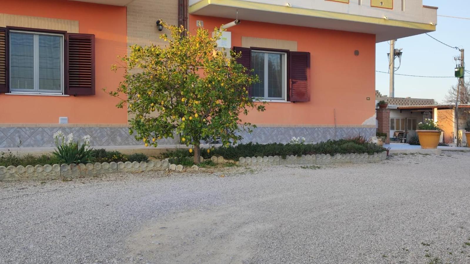 B&B I Tre Ulivi Morro dʼOro Εξωτερικό φωτογραφία
