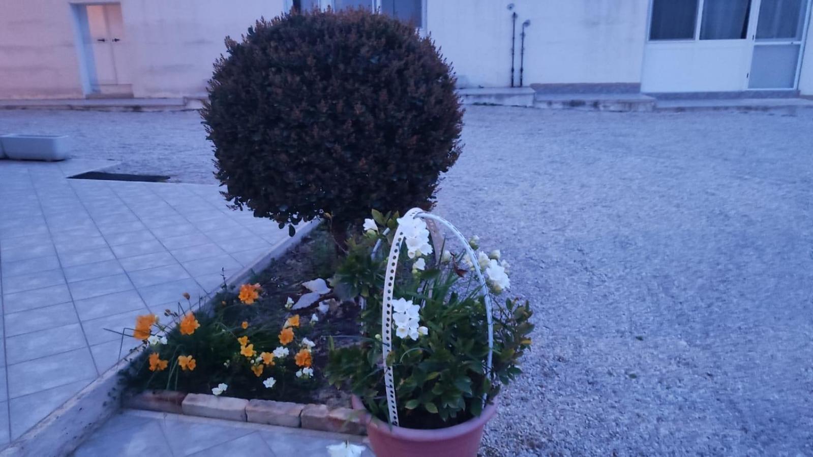 B&B I Tre Ulivi Morro dʼOro Εξωτερικό φωτογραφία